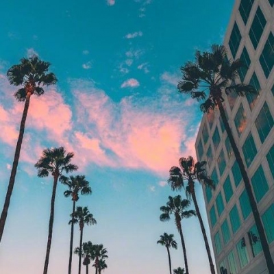 江湖一条烟